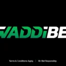 WaddiBet