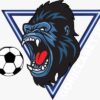 Gorillabet365