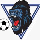 Gorillabet365